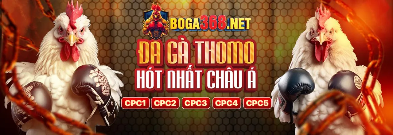 Hỗ trợ khách hàng vj88