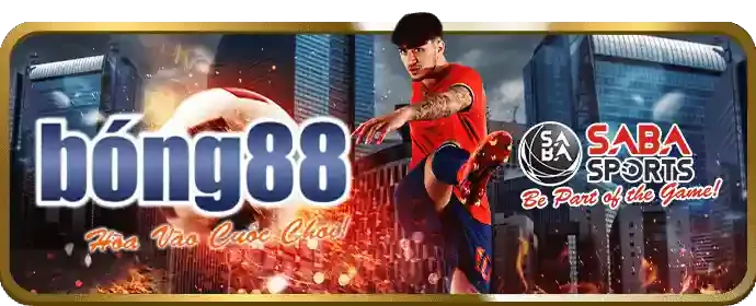 Cá cược thể thao vj88