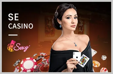 Biểu đồ cầu baccarat với các đường xu hướng và kết quả